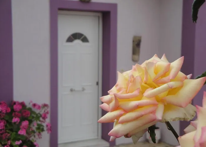 Fiora 홀리데이파크 트라페자키