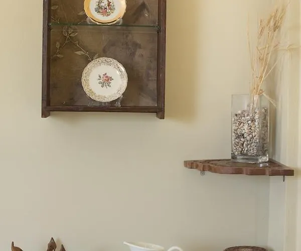 Fiora 트라페자키